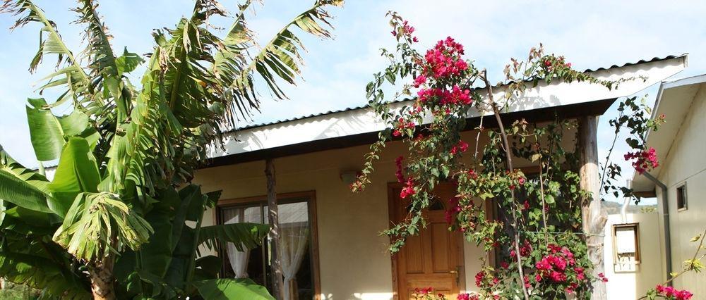 Cabanas Vaiora Hanga Roa Exterior foto